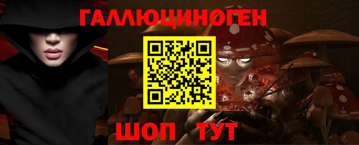 Псилоцибиновые грибы Psilocybine cubensis  сколько стоит  Вход с VPN  Анжеро-Судженск  Псилоцибиновые грибы Psilocybe 